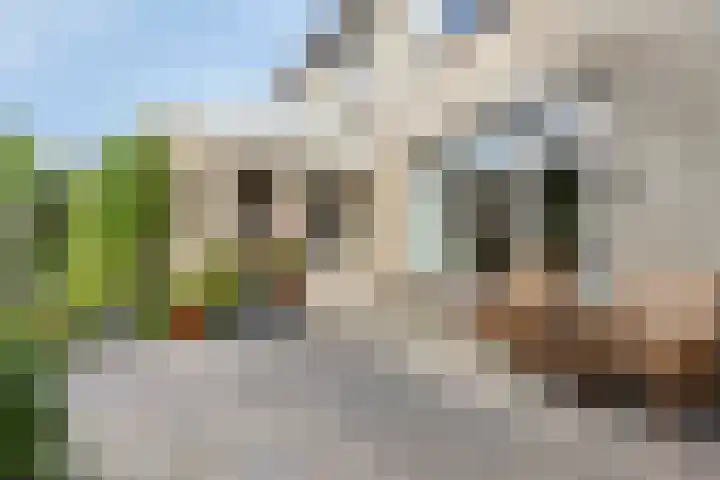 Hofstede 3 Schaijk thumbnail 25