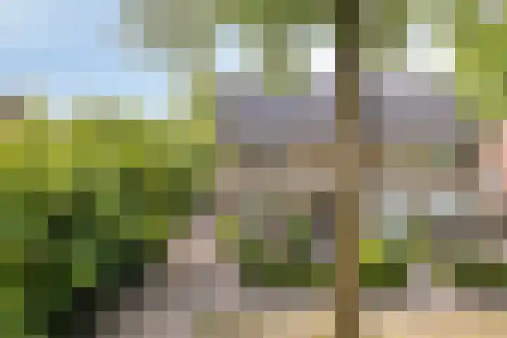 Hofstede 3 Schaijk thumbnail 28