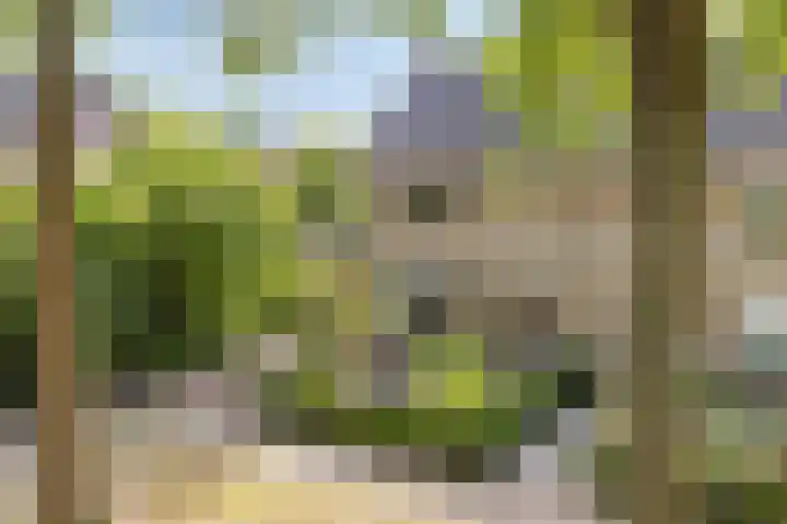 Hofstede 3 Schaijk thumbnail 29