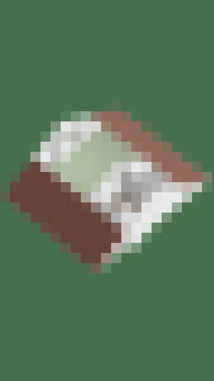 Hofstede 3 Schaijk thumbnail 38