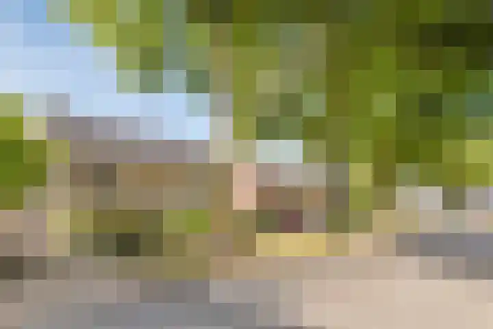Hofstede 3 Schaijk thumbnail 5