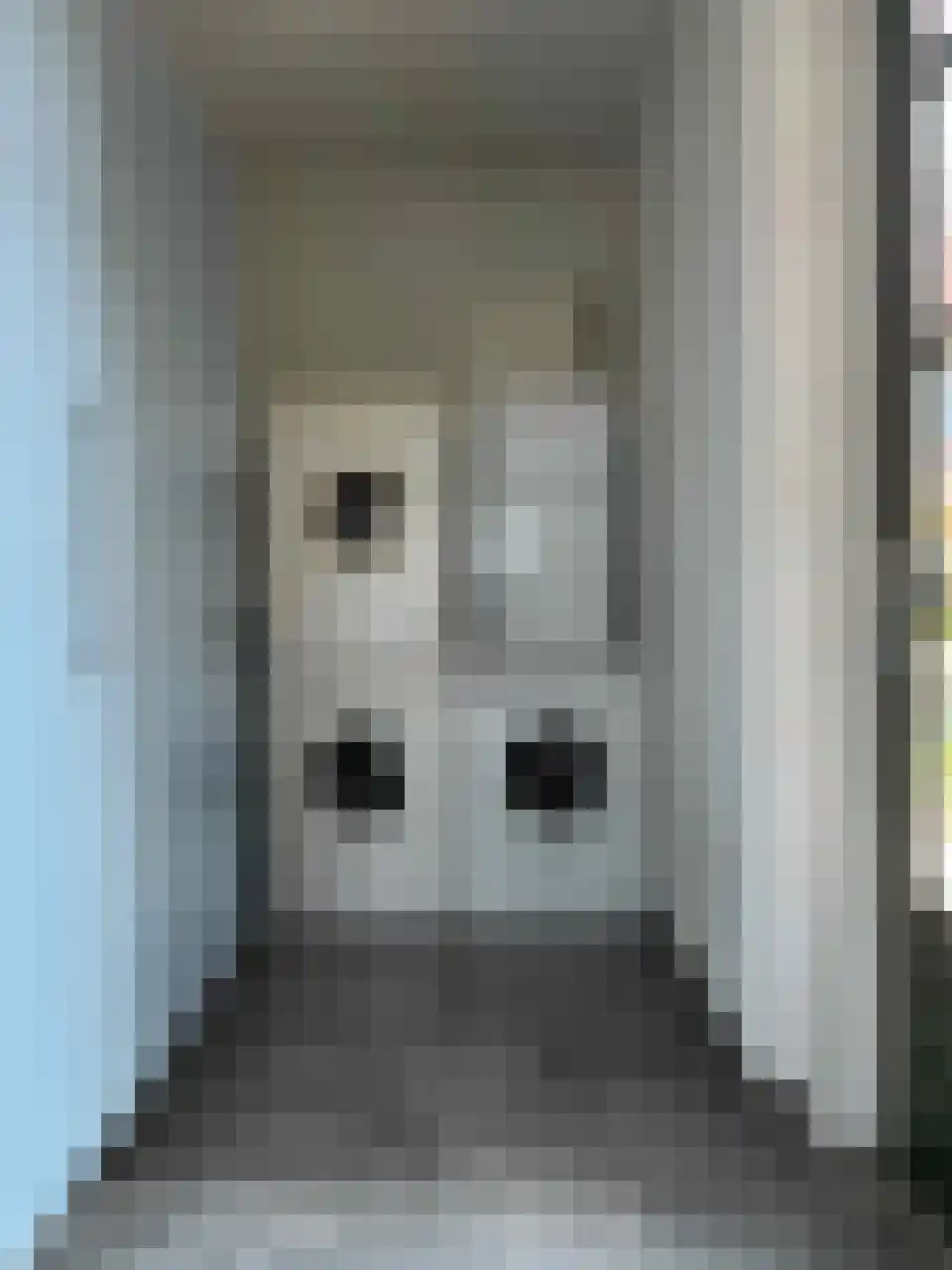 Hofstede 30 Tholen thumbnail 17