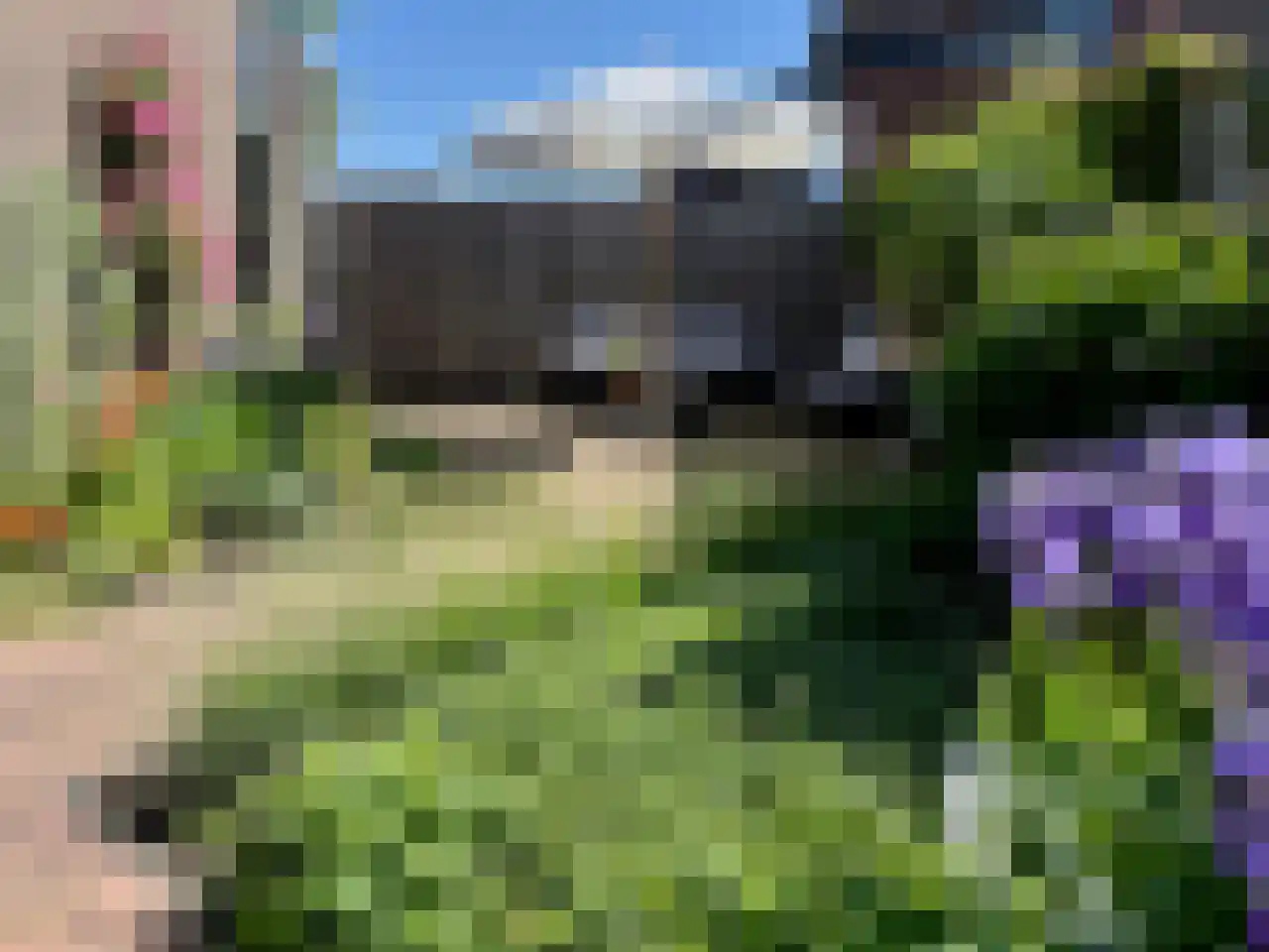 Hofstede 30 Tholen thumbnail 22