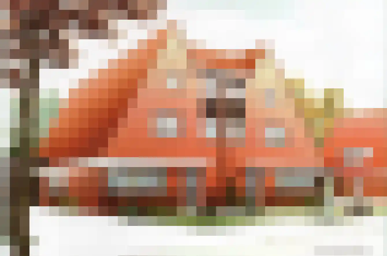 Hofstede 30 Tholen thumbnail 41