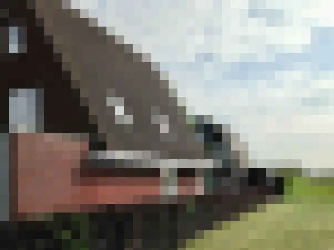 Hofstede 30 Tholen thumbnail 6