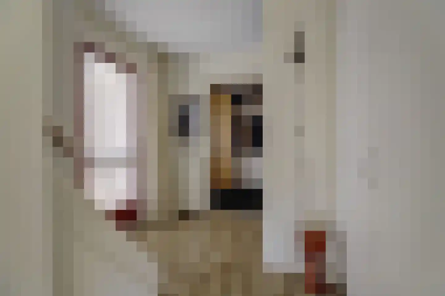 Hofstede 31 Tolbert thumbnail 11