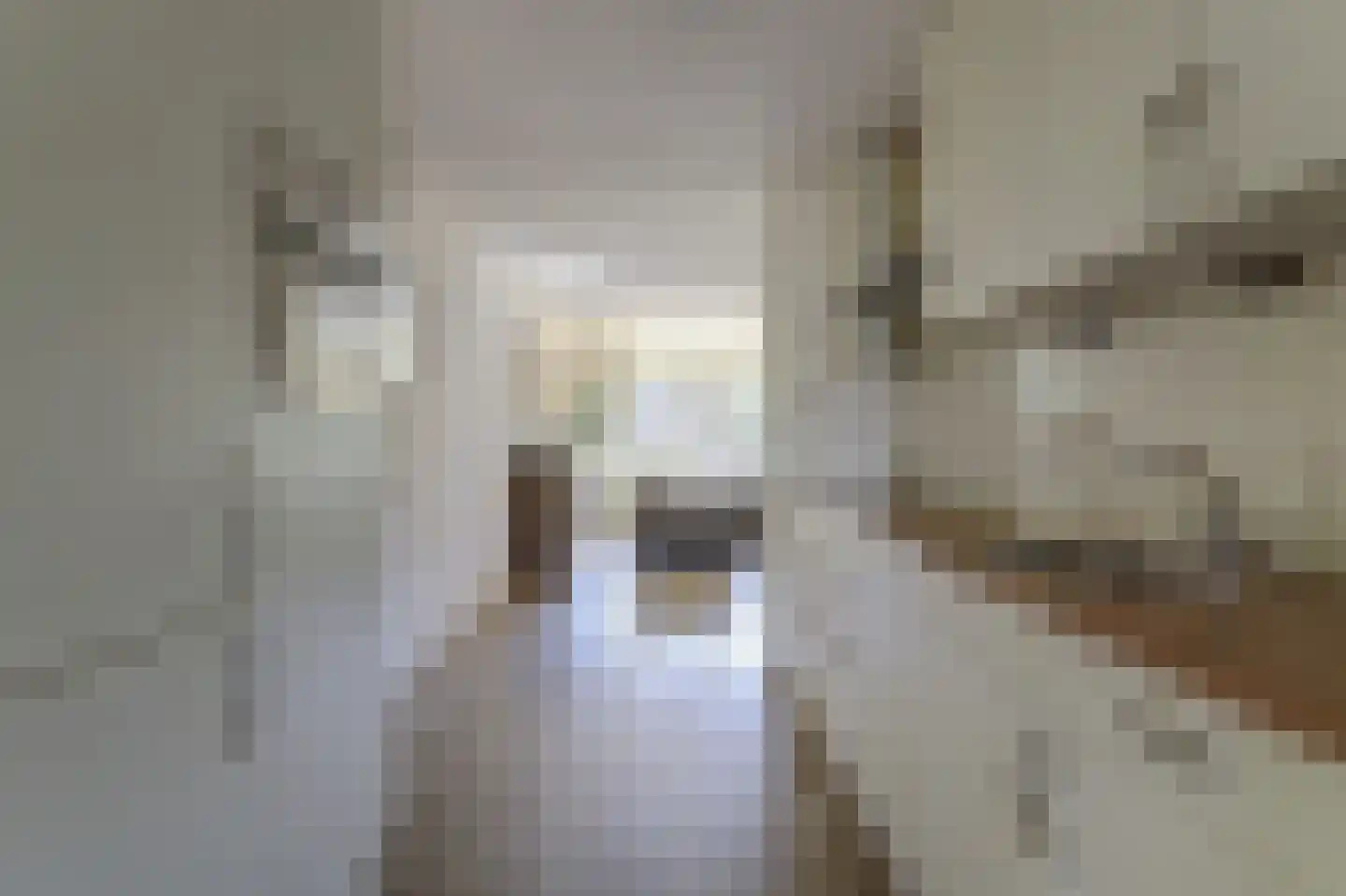 Hofstede 31 Tolbert thumbnail 18