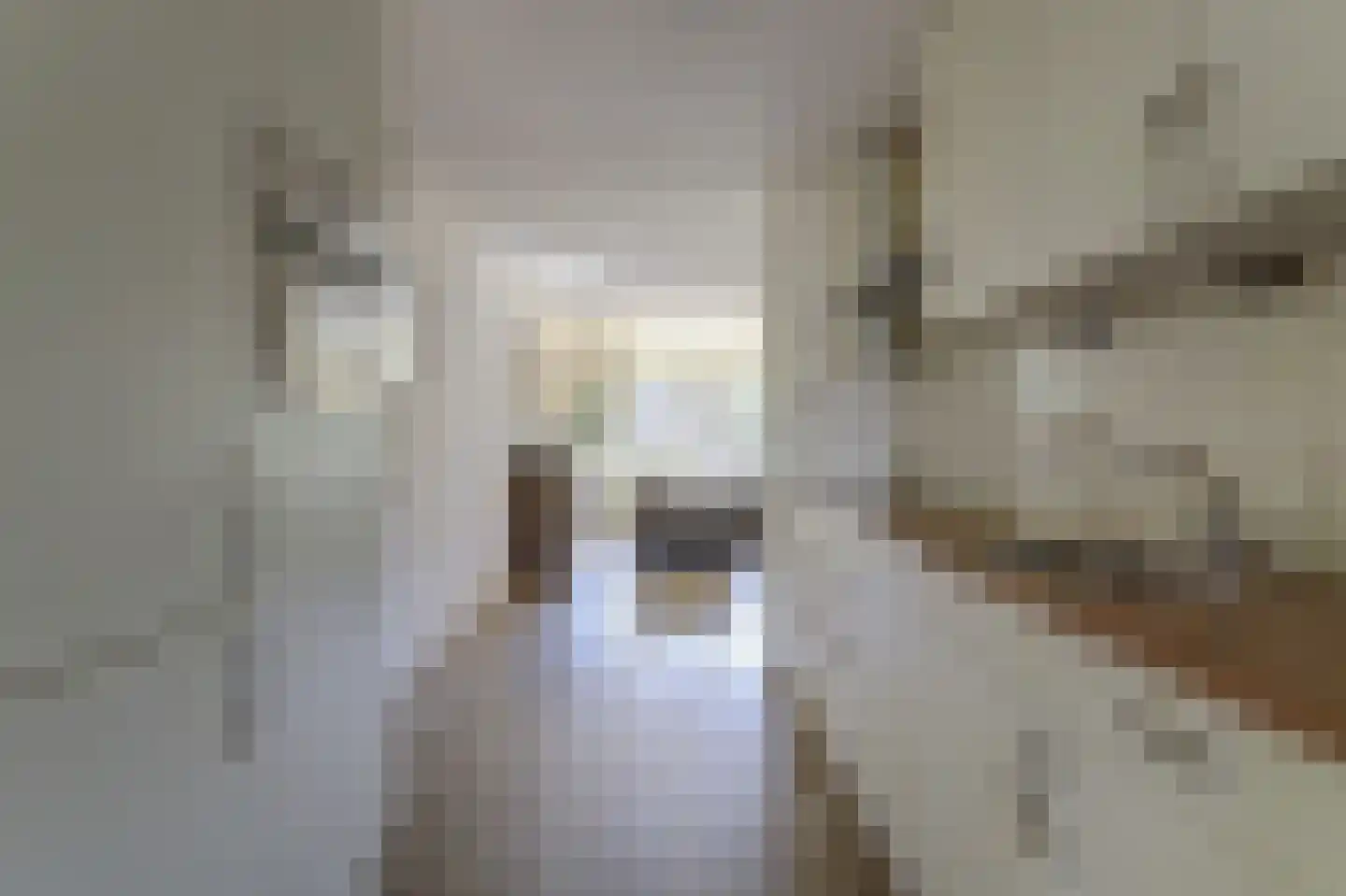 Hofstede 31 Tolbert thumbnail 18
