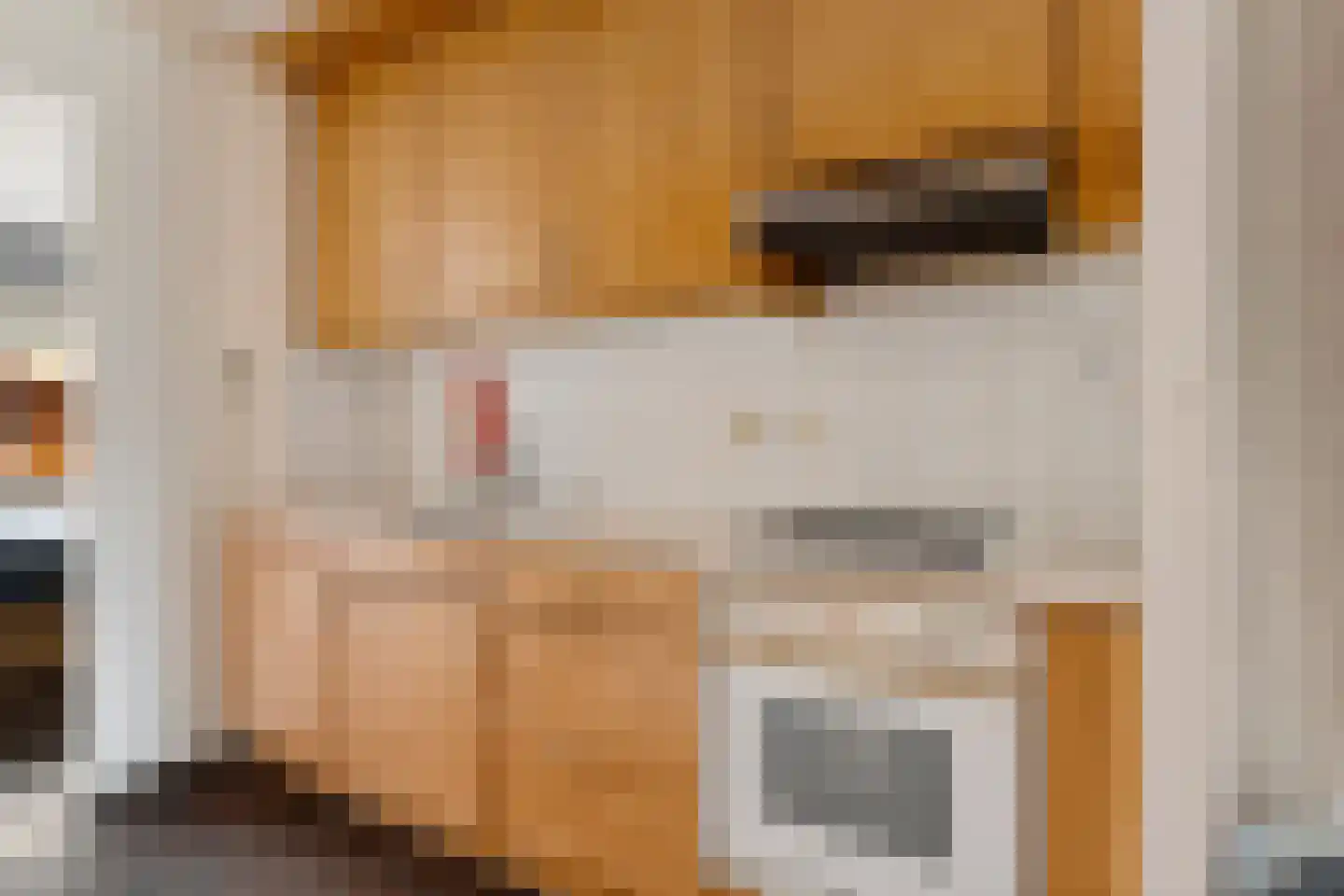 Hofstede 37 Tolbert thumbnail 13
