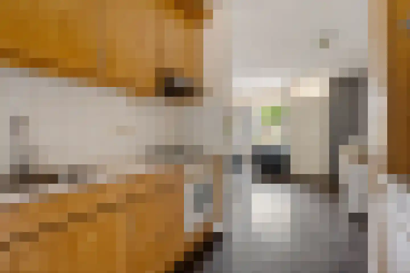 Hofstede 37 Tolbert thumbnail 15