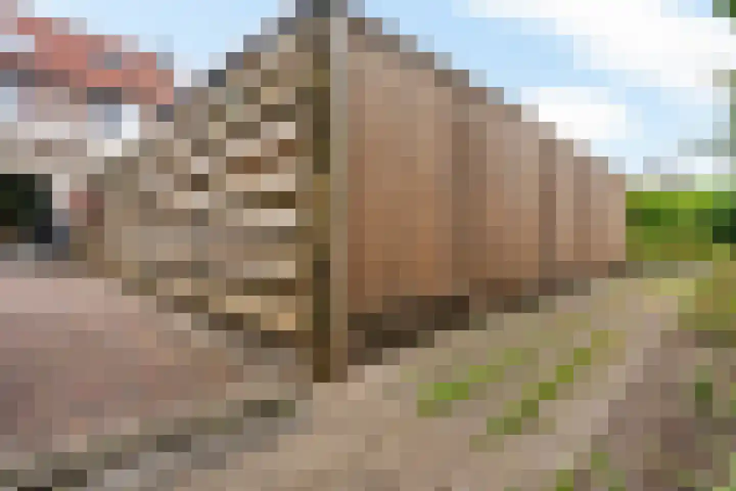 Hofstede 37 Tolbert thumbnail 39