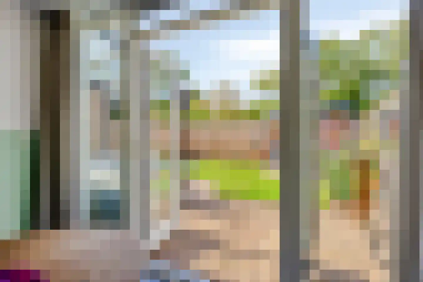 Hofstede 39 Tolbert thumbnail 25