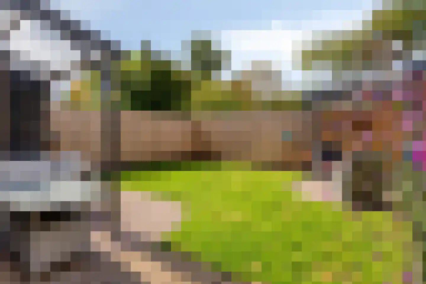 Hofstede 39 Tolbert thumbnail 26