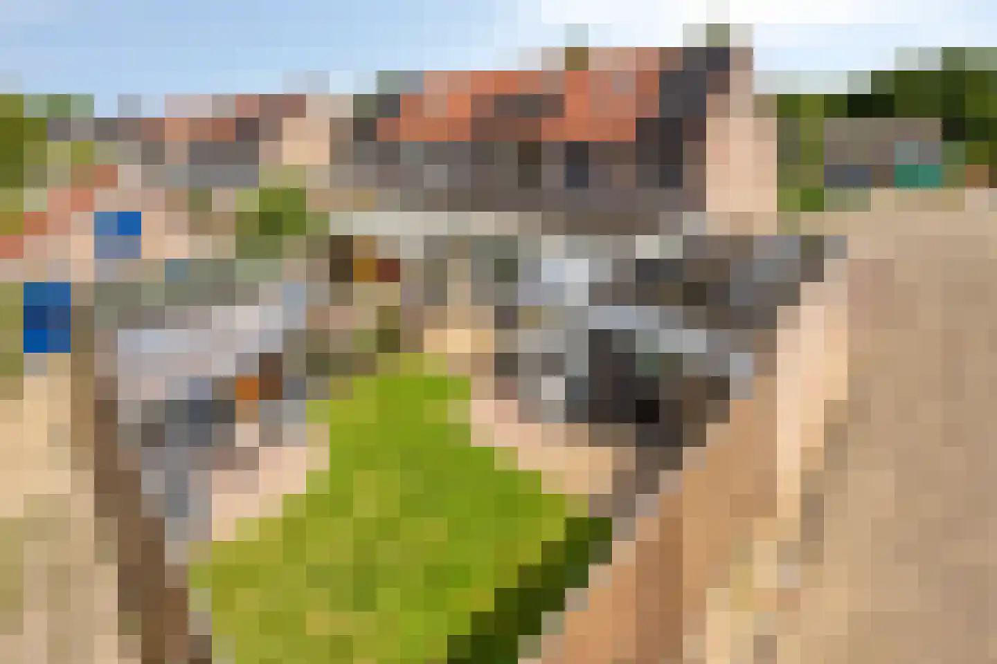 Hofstede 39 Tolbert thumbnail 30