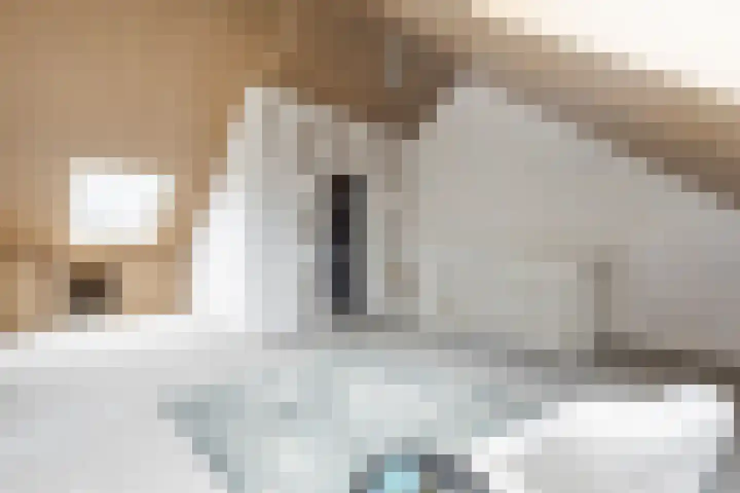Hofstede 4 Meerkerk thumbnail 31