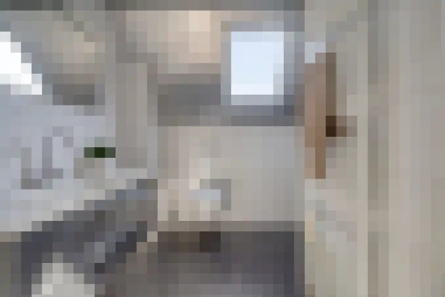 Hofstede 41 Tolbert thumbnail 29