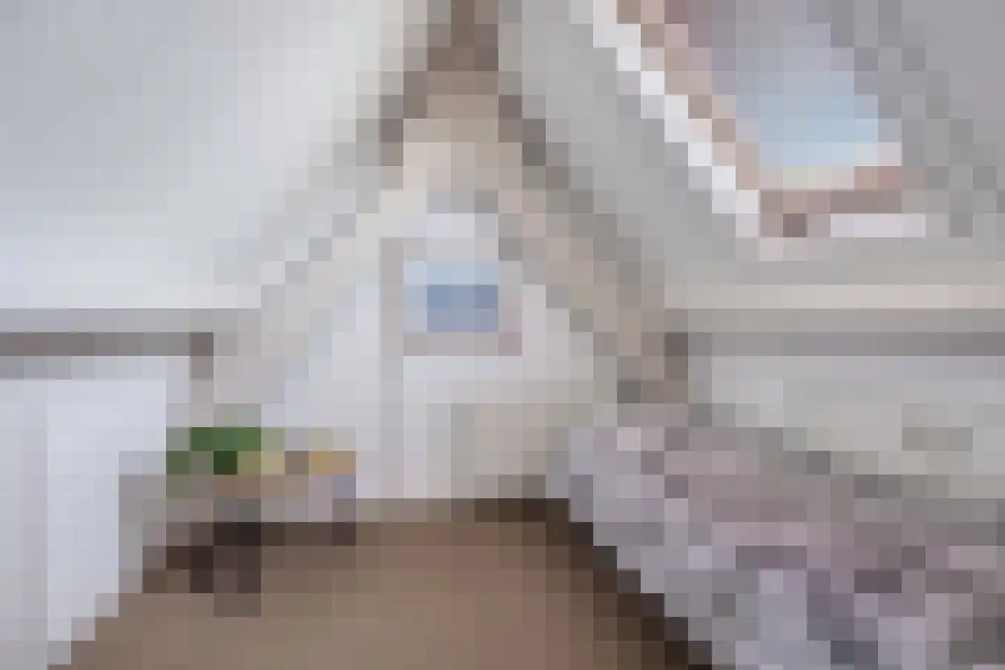 Hofstede 41 Tolbert thumbnail 37