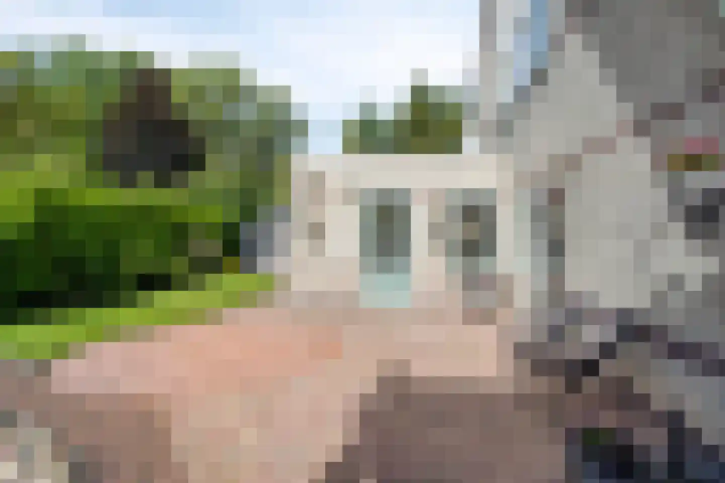 Hofstede 41 Tolbert thumbnail 45