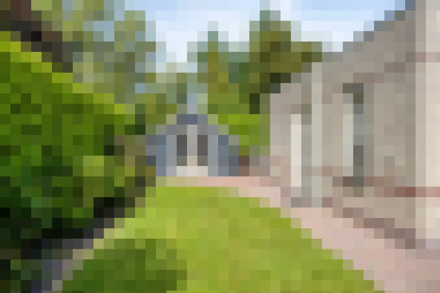 Hofstede 41 Tolbert thumbnail 48