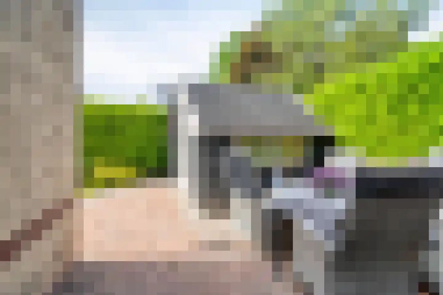 Hofstede 41 Tolbert thumbnail 49