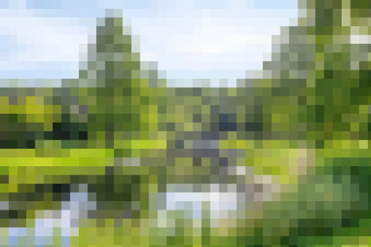 Hofstede 41 Tolbert thumbnail 55