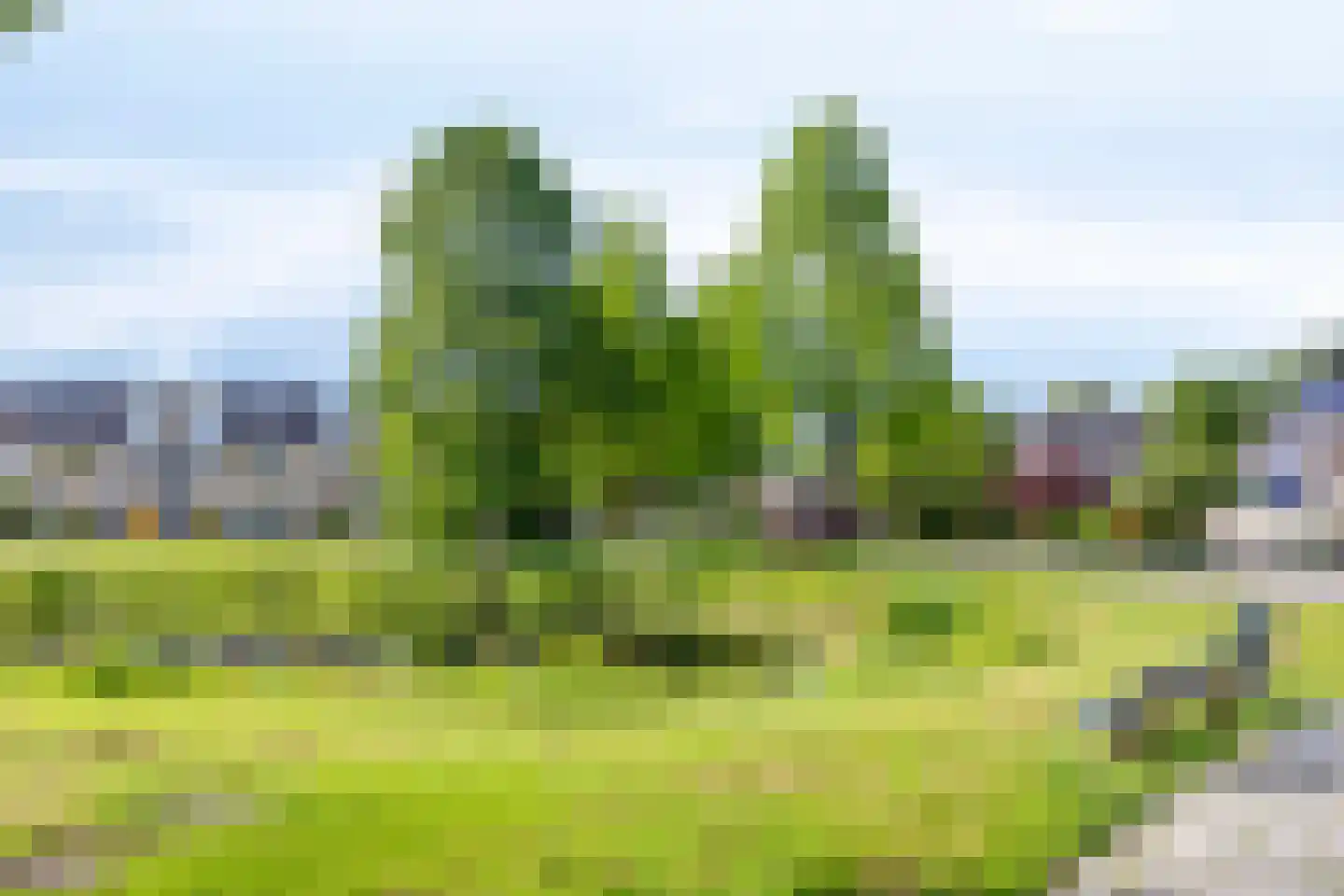 Hofstede 41 Tolbert thumbnail 56