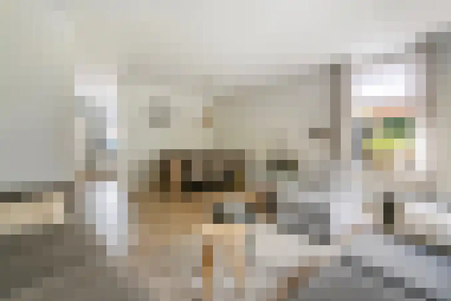 Hofstede 6 Veenendaal thumbnail 16