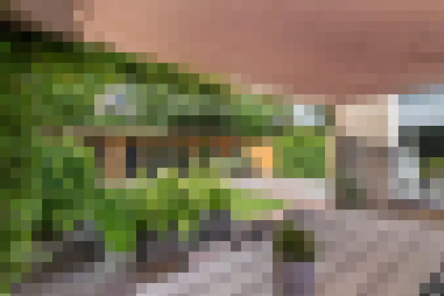 Hofstede 6 Veenendaal thumbnail 25