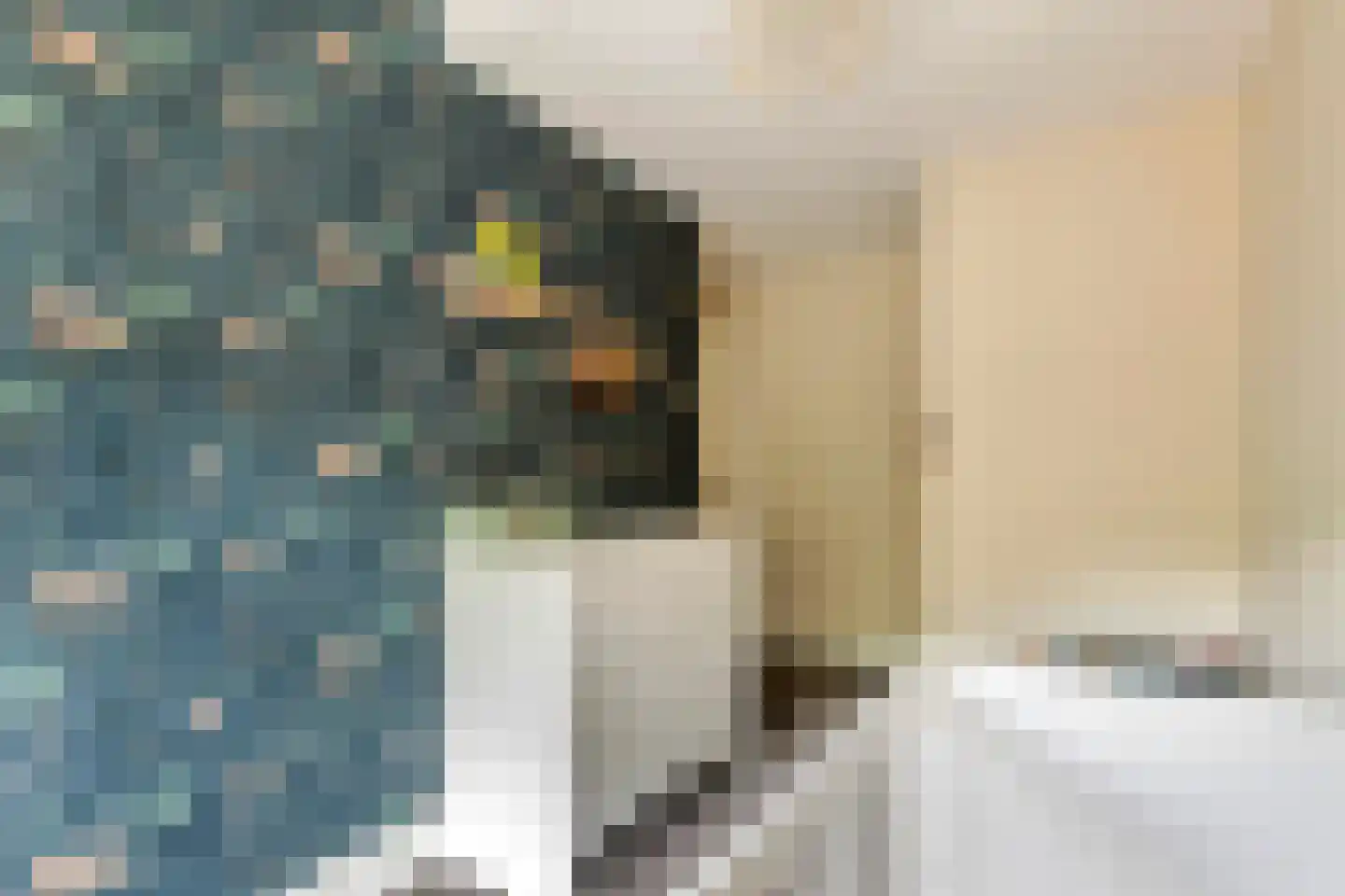Hofstede 6 Veenendaal thumbnail 30