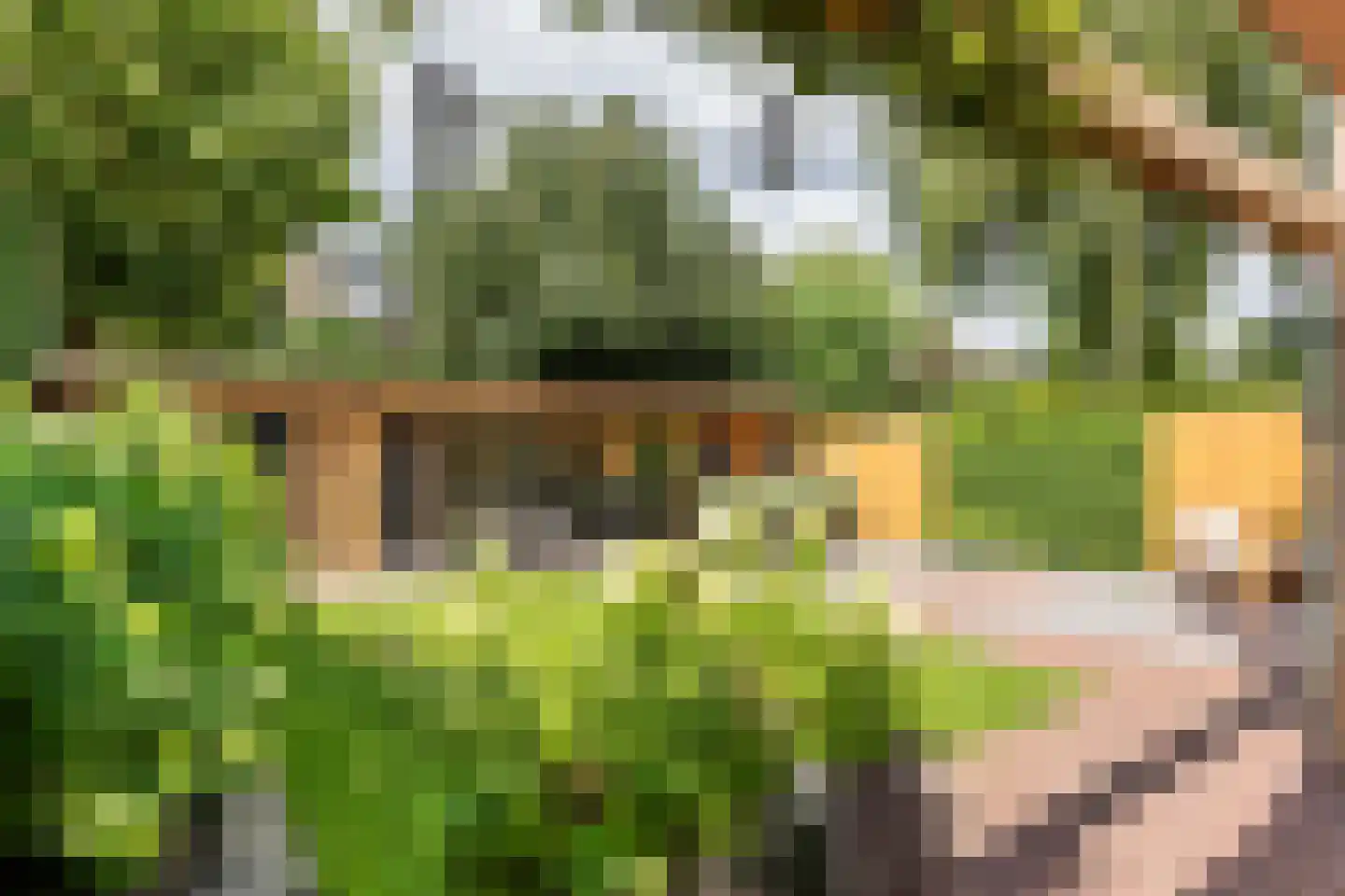 Hofstede 6 Veenendaal thumbnail 4