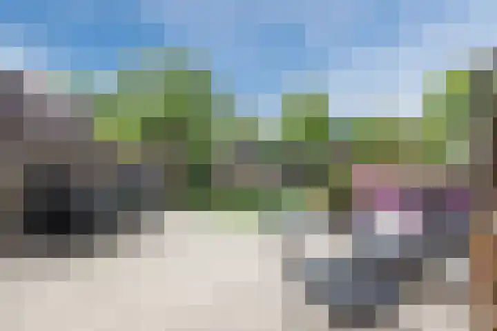 Hofstede 61 Lelystad thumbnail 31