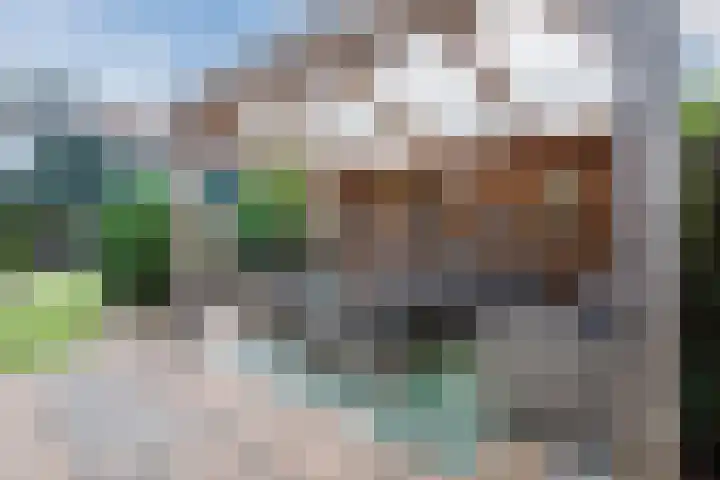 Hofstede 61 Lelystad thumbnail 34