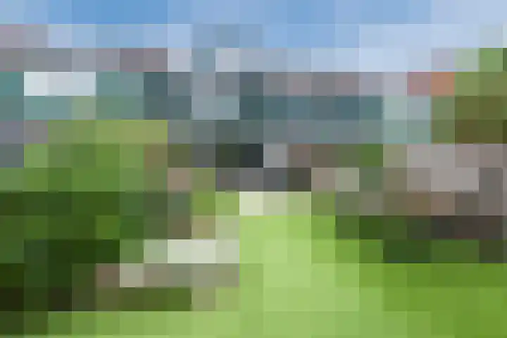 Hofstede 61 Lelystad thumbnail 35