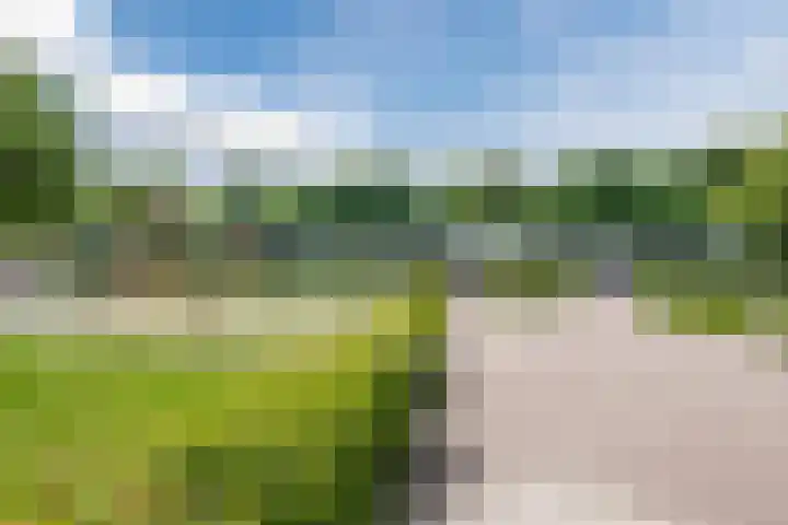 Hofstede 61 Lelystad thumbnail 39