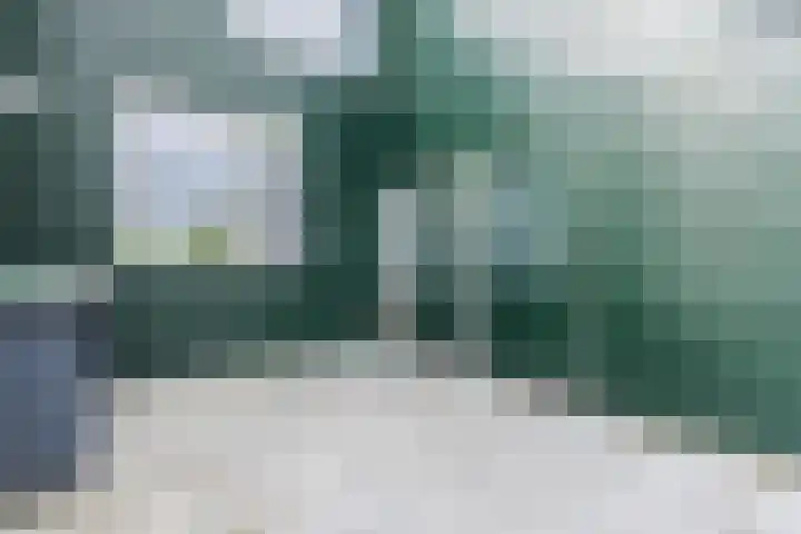 Hofstede 61 Lelystad thumbnail 7