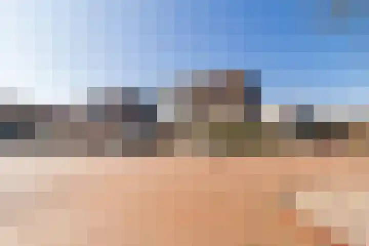 Hofstede 9 Castricum thumbnail 24