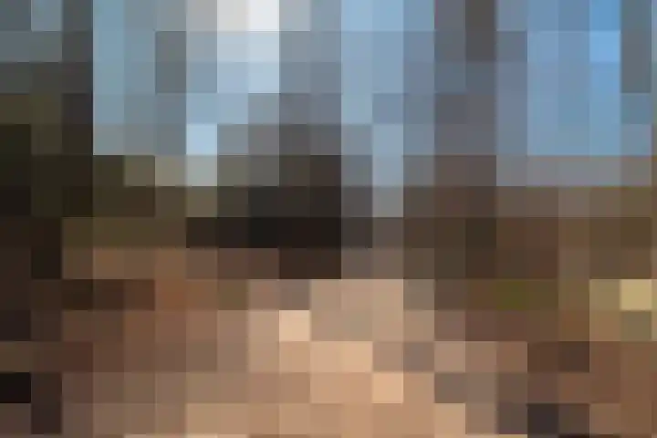 Hofstede 9 Castricum thumbnail 28
