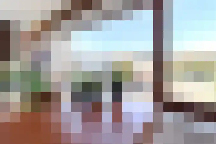 Hofstede 9 Castricum thumbnail 5