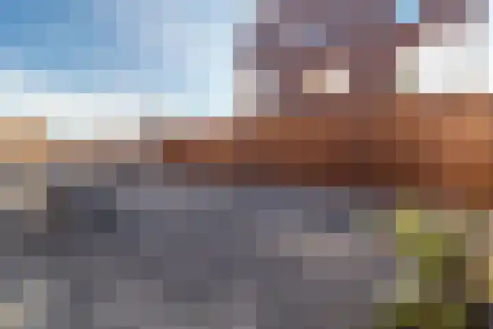 Hofstede 9 Castricum thumbnail 9