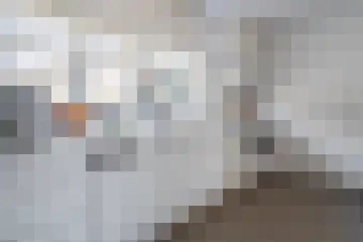 Hofstedelaan 19 Raalte thumbnail 21