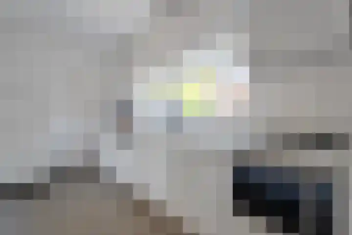 Hofstedelaan 19 Raalte thumbnail 22