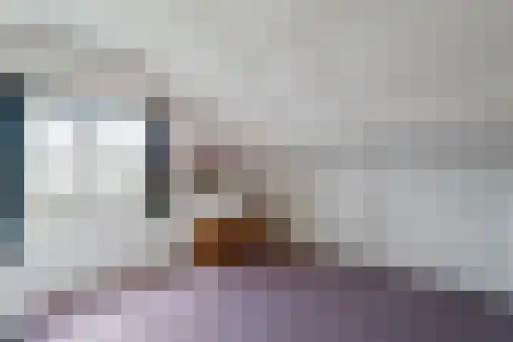 Hofstedelaan 19 Raalte thumbnail 39