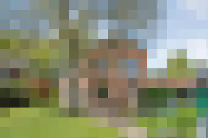 Hofstedelaan 19 Raalte thumbnail 42