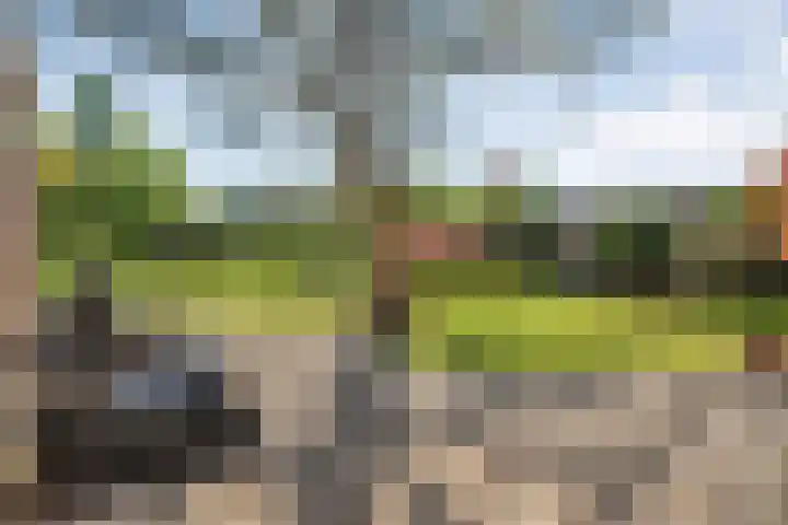 Hofstedelaan 19 Raalte thumbnail 44