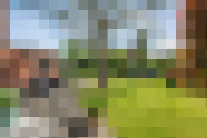 Hofstedelaan 19 Raalte thumbnail 45