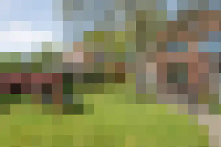 Hofstedelaan 19 Raalte thumbnail 46