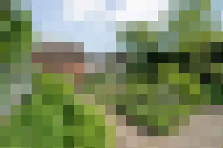 Hofstedelaan 19 Raalte thumbnail 47