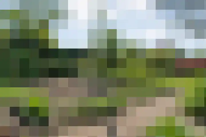 Hofstedelaan 19 Raalte thumbnail 48