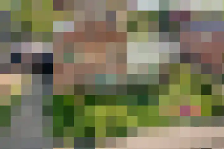 Hofstedelaan 19 Raalte thumbnail 49