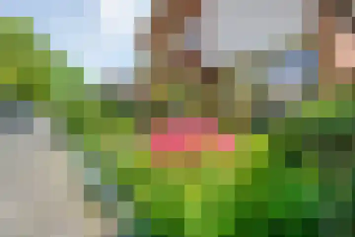 Hofstedelaan 19 Raalte thumbnail 6